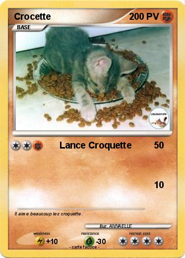 Pokemon Crocette