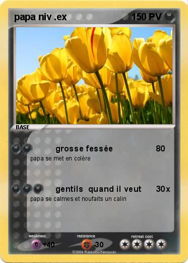 Pokemon papa niv .ex