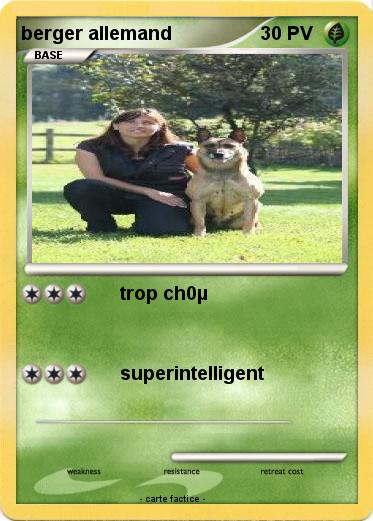 Pokemon berger allemand