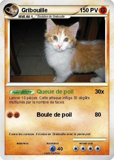Pokemon Gribouille