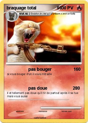 Pokemon braquage total                 99