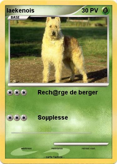 Pokemon laekenois