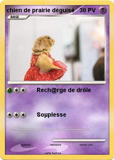 Pokemon chien de prairie déguisé