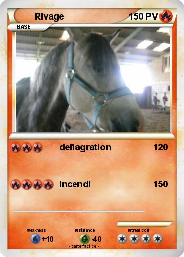 Pokemon Rivage