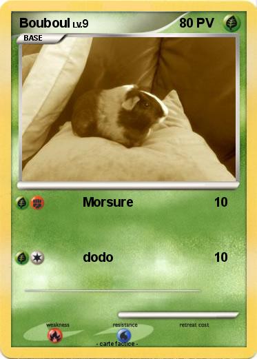 Pokemon Bouboul