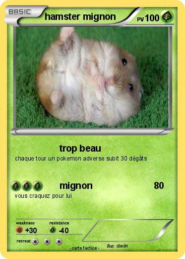 Pokemon hamster mignon