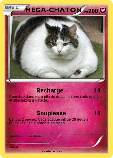 Pokemon MEGA-CHATON