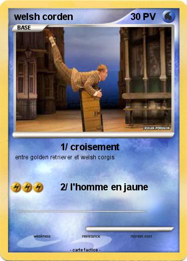 Pokemon welsh corden