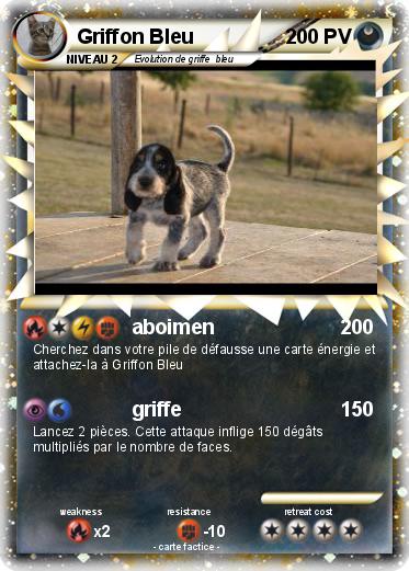 Pokemon Griffon Bleu
