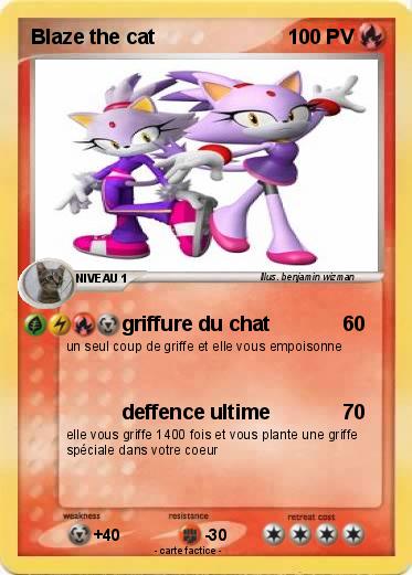 Pokemon Blaze the cat