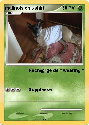 Pokemon malinois en t-shirt