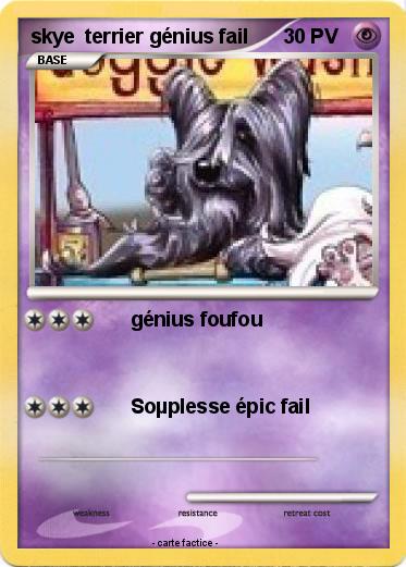 Pokemon skye  terrier génius fail