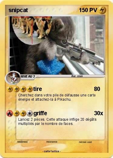 Pokemon snipcat