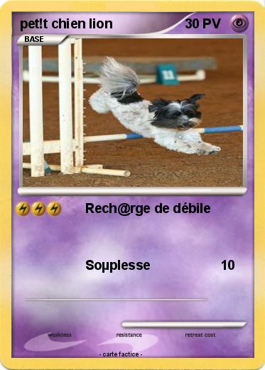 Pokemon pet!t chien lion
