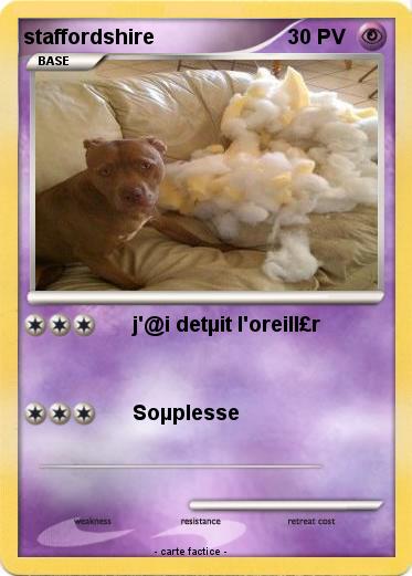 Pokemon staffordshire