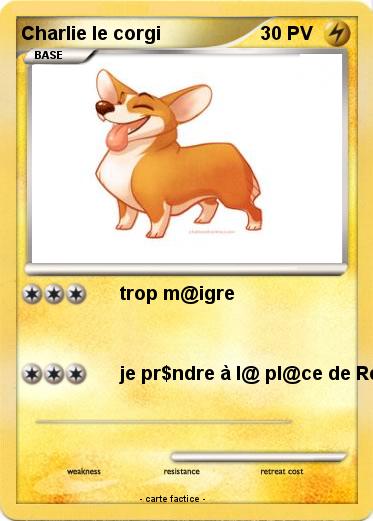 Pokemon Charlie le corgi