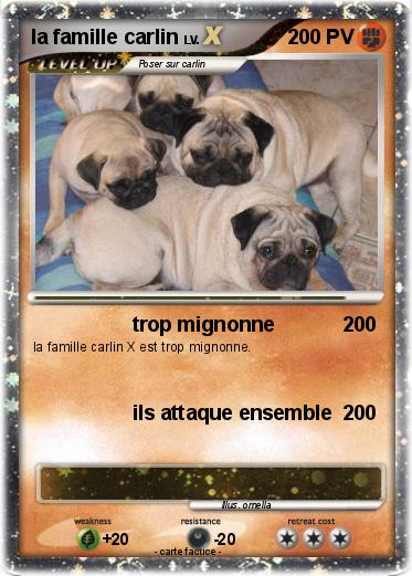 Pokemon la famille carlin