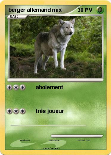 Pokemon berger allemand mix