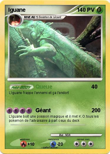 Pokemon Iguane