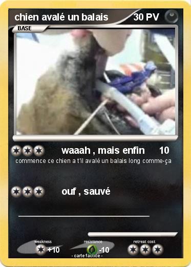 Pokemon chien avalé un balais