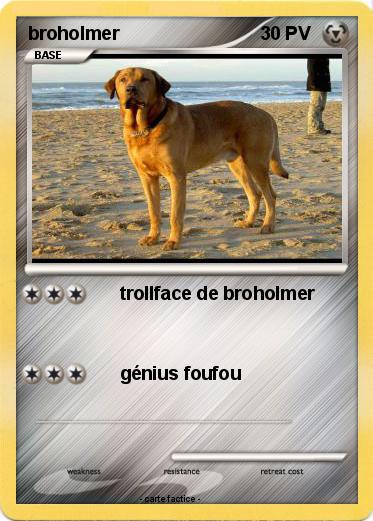 Pokemon broholmer