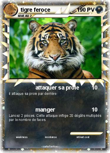 Pokemon tigre feroce