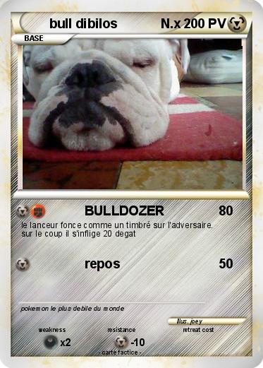 Pokemon bull dibilos            N.x