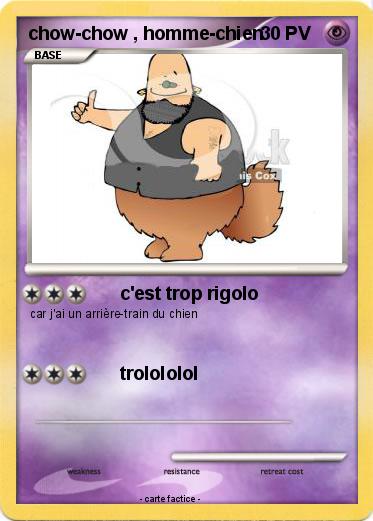 Pokemon chow-chow , homme-chien