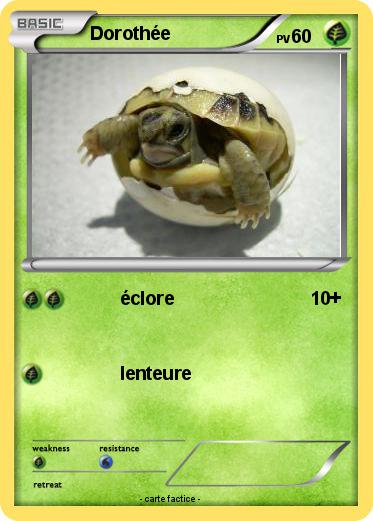 Pokemon Dorothée