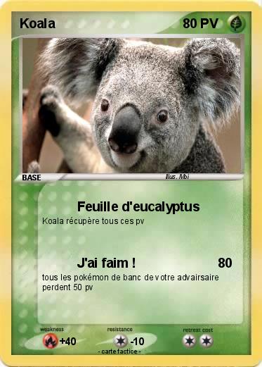 Pokemon Koala
