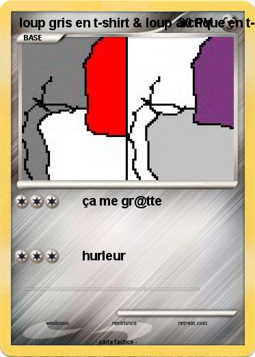 Pokemon loup gris en t-shirt & loup arctique en t-shirt