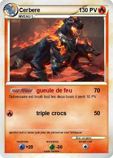 Pokemon Cerbere