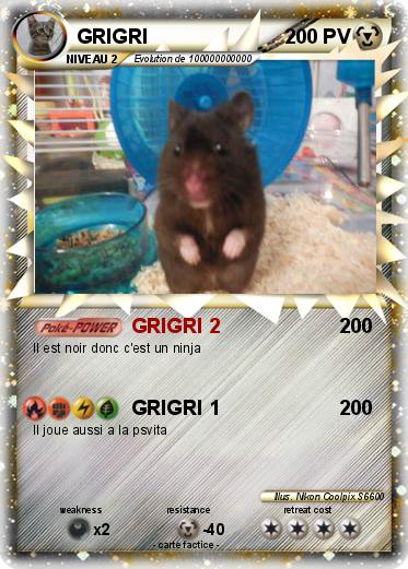 Pokemon GRIGRI