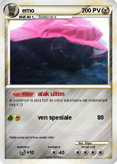 Pokemon erno