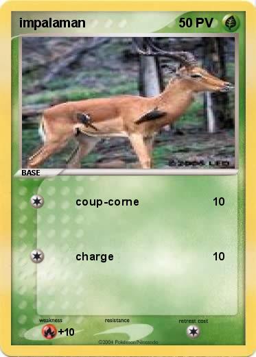 Pokemon impalaman