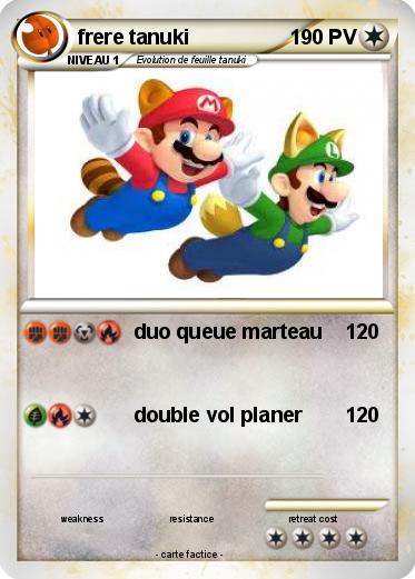 Pokemon frere tanuki