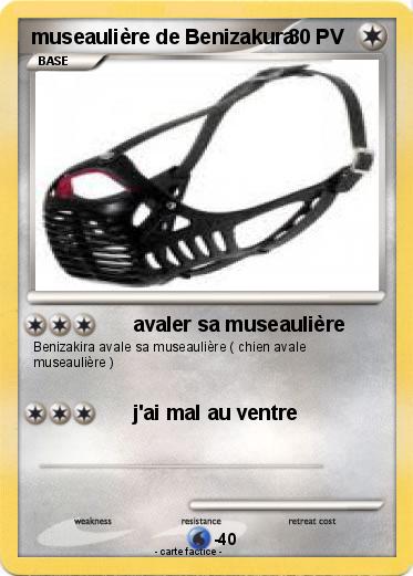 Pokemon museaulière de Benizakura