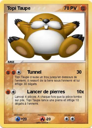 Pokemon Topi Taupe