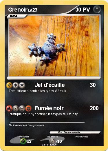 Pokemon Grenoir