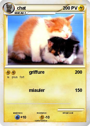 Pokemon chat