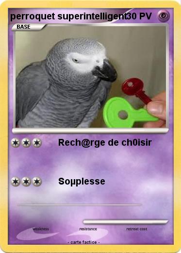 Pokemon perroquet superintelligent