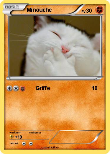 Pokemon Minouche