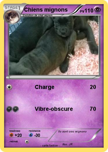 Pokemon Chiens mignons