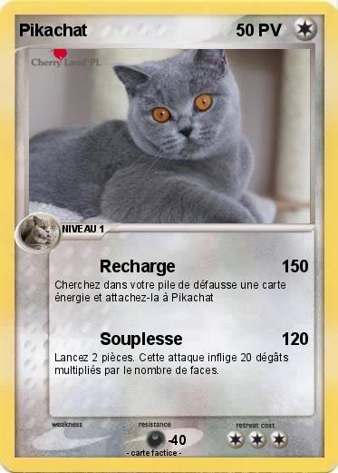 Pokemon Pikachat