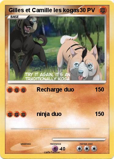 Pokemon Gilles et Camille les kogas