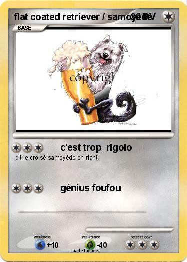 Pokemon flat coated retriever / samoyède