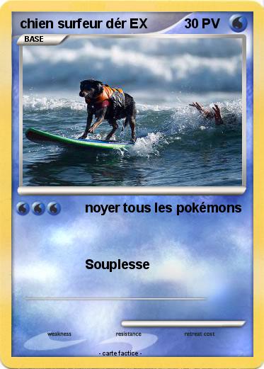 Pokemon chien surfeur dér EX