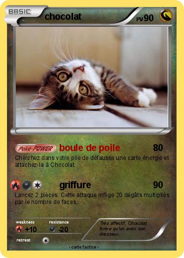 Pokemon chocolat
