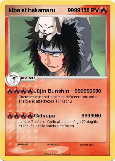 Pokemon kiba et hakamaru        9999