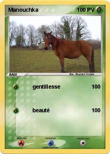 Pokemon Manouchka